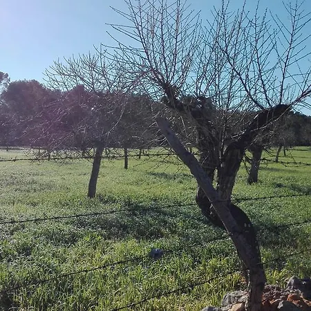 Sa Estada Casa rural